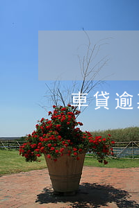 車貸逾期后銀行律師找我