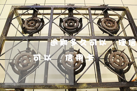 車貸逾期多久可以辦理信用卡(貸款逾期多久可以辦信用卡)