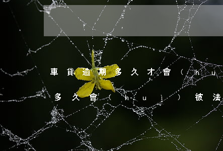 車貸逾期多久才會(huì)起訴(車貸逾期多久會(huì)被法院起訴)