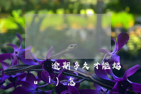 車貸逾期多久才能起訴(車貸逾期起訴會(huì)怎樣)