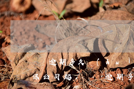 車貸逾期多久會(huì)被擔(dān)保公司起訴(車貸逾期多久會(huì)被金融公司起訴)
