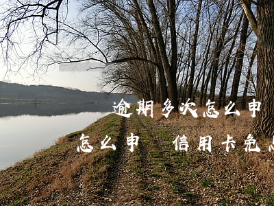 車貸逾期多次怎么申請信用卡(車貸逾期多次怎么申請信用卡免息)