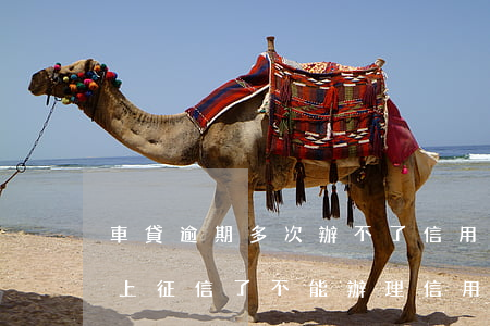 車貸逾期多次辦不了信用卡(車貸逾期了一天上征信了不能辦理信用卡嗎)