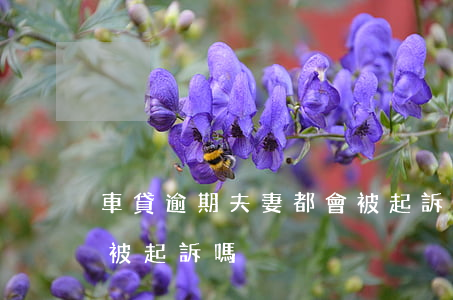 車貸逾期夫妻都會被起訴嗎（車貸逾期老婆會被起訴嗎）