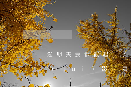 車貸逾期夫妻都被起訴了(丈夫車貸逾期被起訴會(huì)影響妻子么)