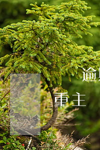 車貸逾期如何主動還款(車貸逾期5天后果嚴重主動還款的都是)