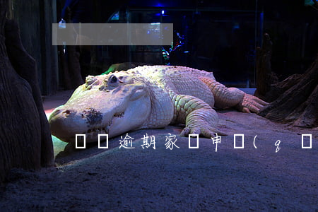 車貸逾期家訪申請(qǐng)