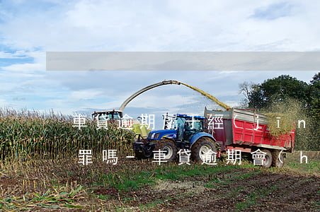 車貸逾期屬于經(jīng)濟(jì)犯罪嗎-車貸逾期會(huì)有刑事責(zé)任嗎