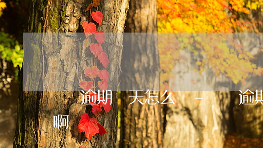 車貸逾期幾天怎么辦-車貸逾期幾天怎么辦啊