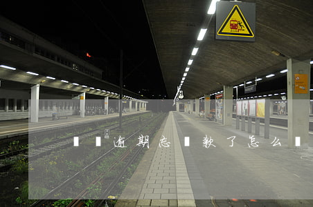 車貸逾期忘還款了怎么辦(車貸忘記還款)