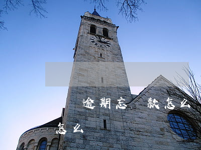 車貸逾期忘還款怎么辦(汽車貸款忘記了逾期怎么辦)