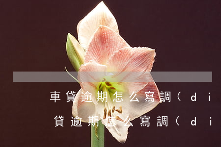 車貸逾期怎么寫調(diào)解書有效（車貸逾期怎么寫調(diào)解書）