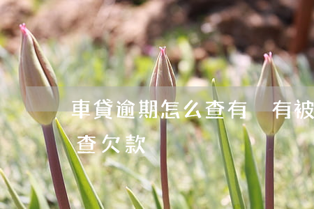 車貸逾期怎么查有沒有被起訴 車貸逾期怎么查欠款