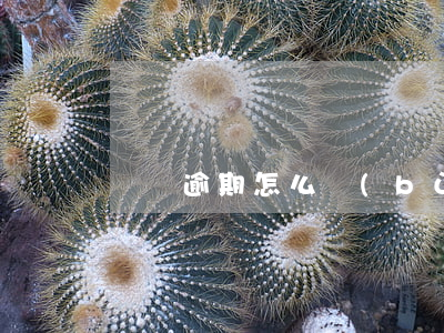 車貸逾期怎么補(bǔ)繳還款