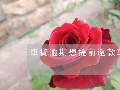 車貸逾期想提前還款(車貸提前還款算違約嗎)