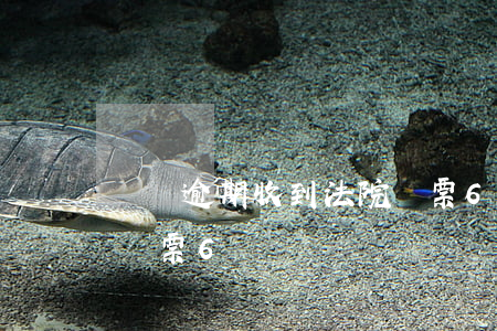 車貸逾期收到法院傳票6(車貸逾期收到法院傳票6)