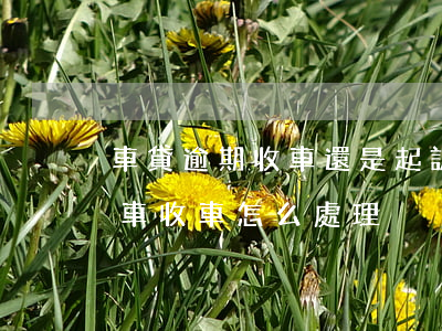 車貸逾期收車還是起訴-車貸逾期多久會收車,收車怎么處理