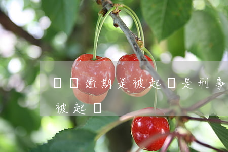 車貸逾期是被起訴是刑事嗎(車貸逾期多久會被起訴)