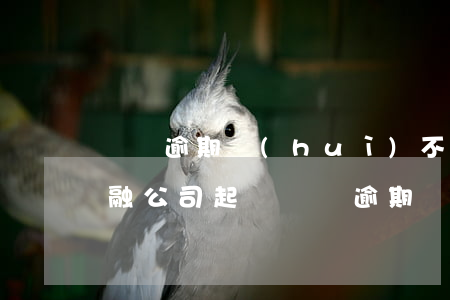 車貸逾期會(huì)不會(huì)被金融公司起訴（車貸逾期會(huì)不會(huì)被金融公司起訴）
