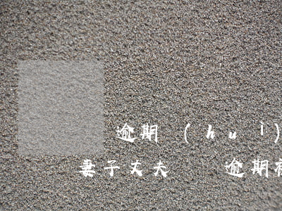 車貸逾期會(huì)不會(huì)起訴妻子(丈夫車貸逾期被起訴會(huì)影響妻子么)