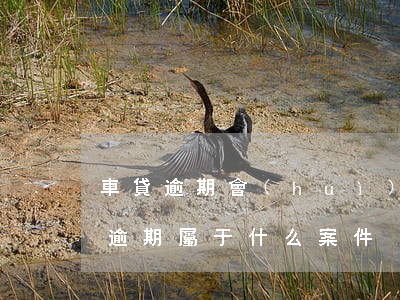 車貸逾期會(huì)以什么罪起訴-車貸逾期屬于什么案件