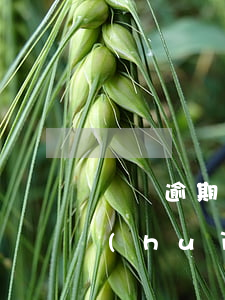 車貸逾期會(huì)給起訴嘛(車貸逾期會(huì)起訴嗎)