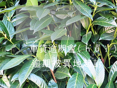 車貸逾期會(huì)被異地起訴嗎-貸款逾期被異地起訴