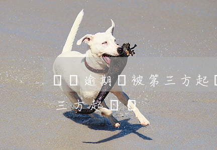車貸逾期會被第三方起訴嗎(車貸逾期會被第三方起訴嗎)