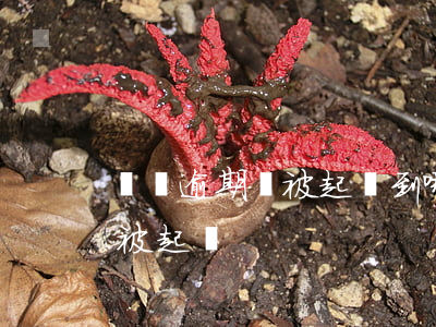 車貸逾期會被起訴到哪里的法院（車貸逾期會被起訴）