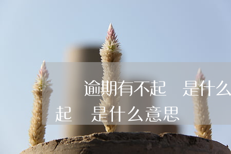 車貸逾期有不起訴是什么意思(車貸逾期有不起訴是什么意思)