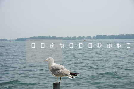 車貸逾期沒還（車款逾期沒還被起訴怎么辦）
