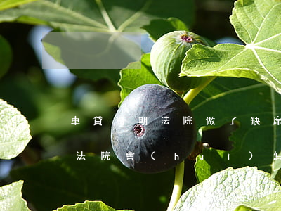 車貸逾期法院做了缺席判決(車貸逾期被起訴法院會(huì)怎么判決)