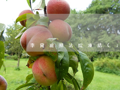 車貸逾期法院凍結(jié)微信