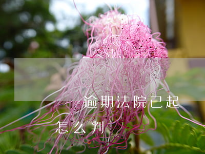 車貸逾期法院已起訴(車貸逾期被起訴法院會怎么判決)
