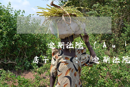 車貸逾期法院會(huì)執(zhí)行房子嗎-車貸逾期法院執(zhí)行怎么處理