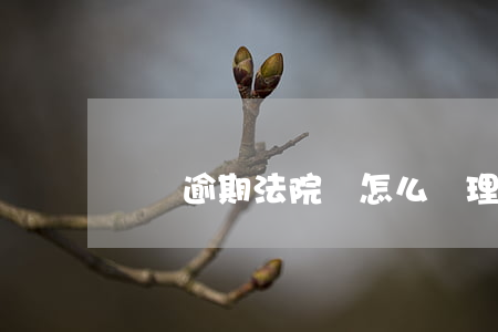 車貸逾期法院會怎么處理
