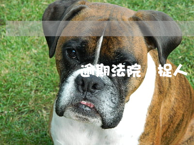 車貸逾期法院會捉人嗎(車貸逾期法院會捉人嗎)