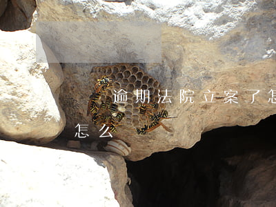 車貸逾期法院立案了怎么辦(車貸逾期被告了怎么辦)