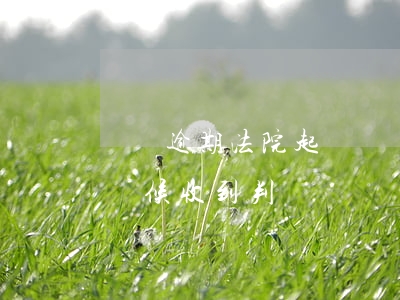 車貸逾期法院起訴(車貸逾期法院起訴后什么時候收到判決書)