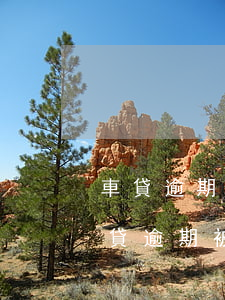車貸逾期法院開庭可以協(xié)商嗎(車貸逾期被起訴可以協(xié)商嗎)
