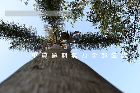車貸逾期無力全部還款(車貸無力還款怎么辦)