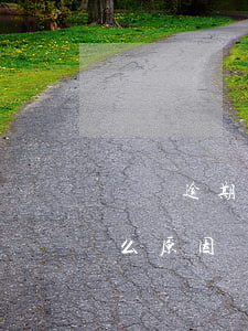 車貸逾期的后果是什么(車貸逾期的后果是什么原因)