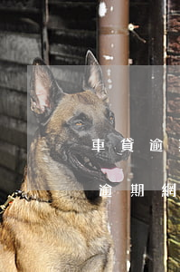 車貸逾期網(wǎng)商貸被停了(大搜車逾期,網(wǎng)商貸款被結(jié)清,車被開走了)