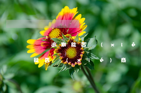 車貸逾期能否協(xié)商還款(車貸逾期能否協(xié)商還款)
