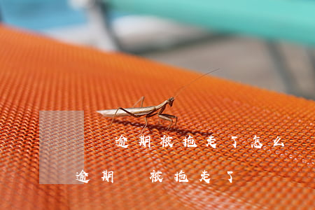 車貸逾期被拖走了怎么辦（網(wǎng)貸逾期車被拖走了）