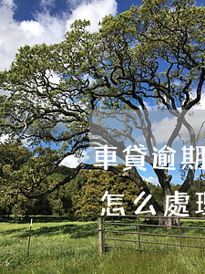 車貸逾期被收車違法嗎(車貸逾期被非法收車怎么處理)