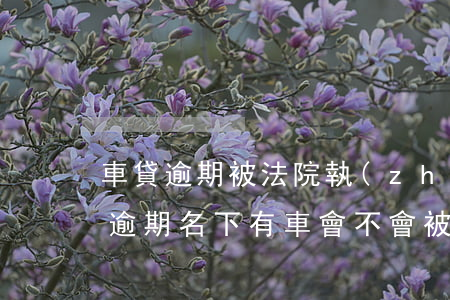 車貸逾期被法院執(zhí)行會怎樣 貸款逾期名下有車會不會被執(zhí)行