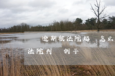 車貸逾期被法院起訴怎么辦（車貸逾期被起訴法院判決例子）