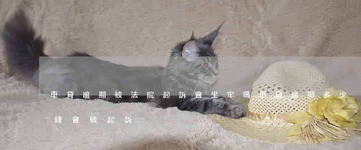 車貸逾期被法院起訴會坐牢嗎 車貸逾期多少錢會被起訴