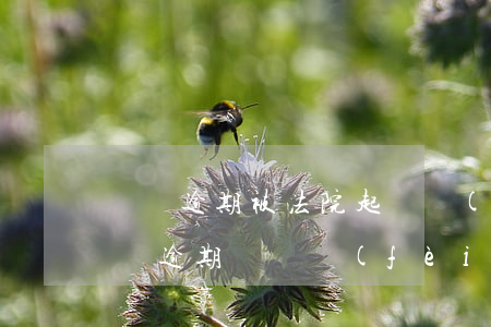 車貸逾期被法院起訴費(fèi)用多少(車貸逾期訴訟費(fèi)要多少)